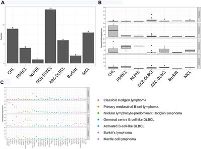 Distinct Gene Expression Patterns of Calcium Channels and Related Signaling Pathways Discovered in Lymphomas